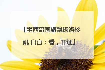 墨西哥国旗飘扬洛杉矶 白宫：看，罪证